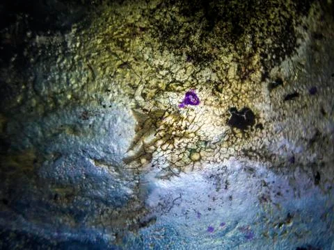 Old paint Stock Photos