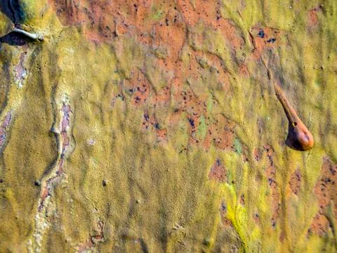 Old paint Stock Photos