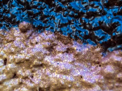 Old paint Foto stock