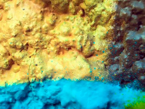 Old paint Stock Photos