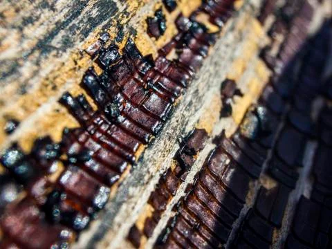 Old paint Stock Photos