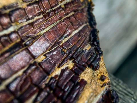 Old paint Stock Photos