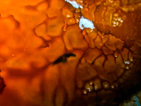 Old paint Foto stock