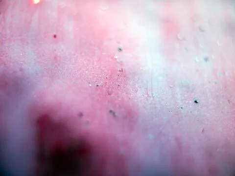 Old paint Stock Photos