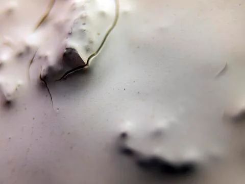 Old paint Stock Photos