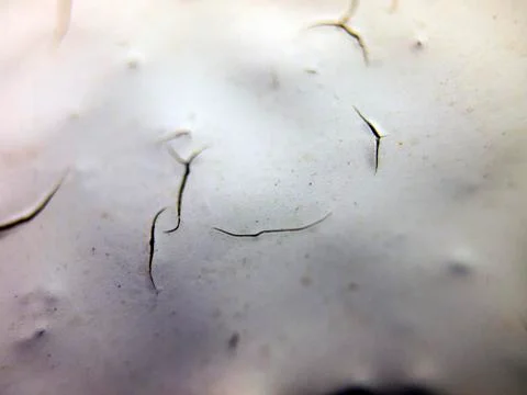 Old paint Stock Photos