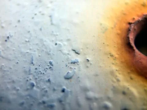 Old paint Stock Photos