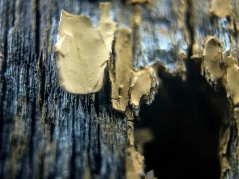 Old paint Stock Photos