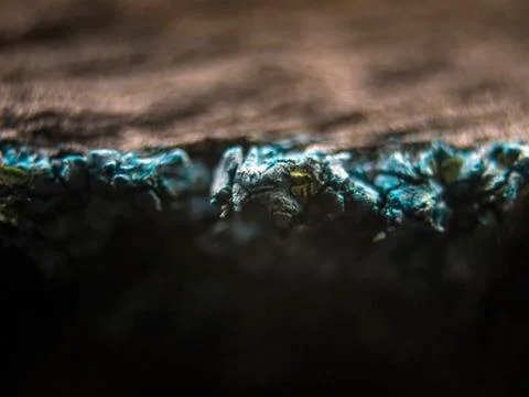 Old paint Foto stock