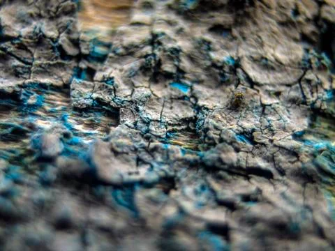 Old paint Stock Photos