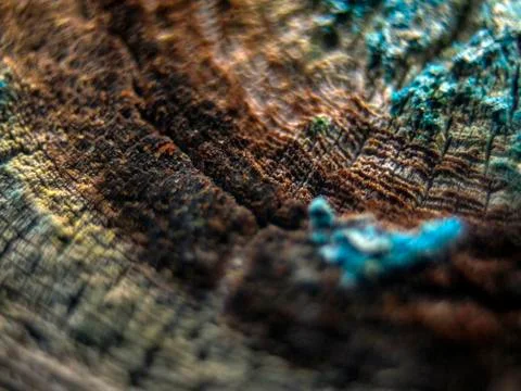 Old paint Stock Photos