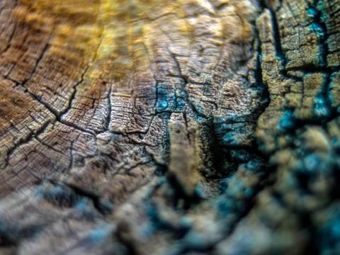 Old paint Stock Photos