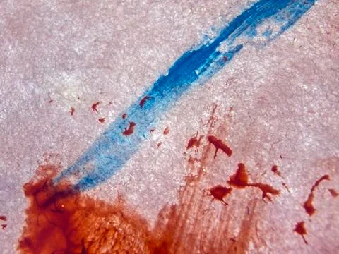 Old paint Stock Photos