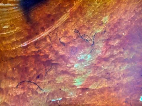 Old paint Stock Photos