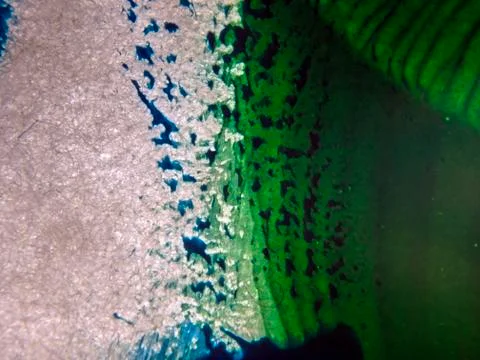 Old paint Stock Photos