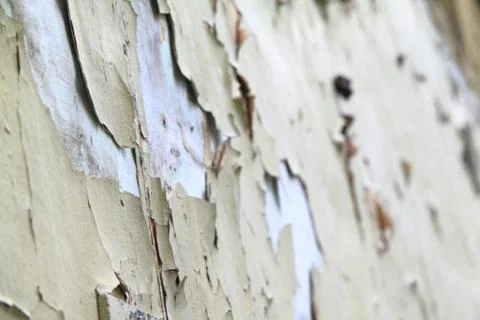 Old paint wall Stock Photos