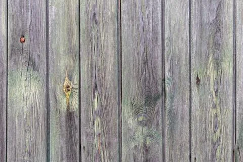 Old painted boards for use as a background Stock Photos