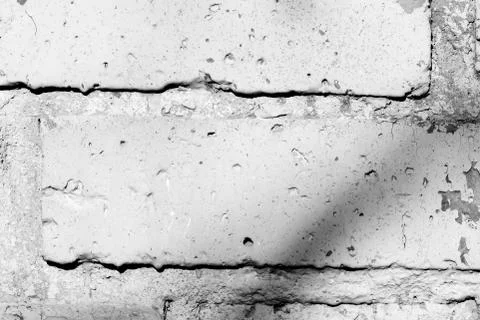 Old painted brick wall with shadows of branches on it on a sunny day. Black a Stock Photos