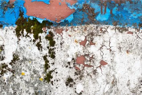 Old painted surface. Stock Photos