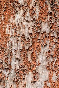 Old painted surface with rustic oil paints Stock Photos