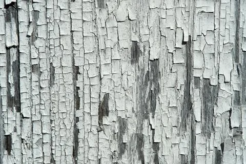Old painted tree wall board blue gray pattern. cracked and scratched. close up Stock Photos