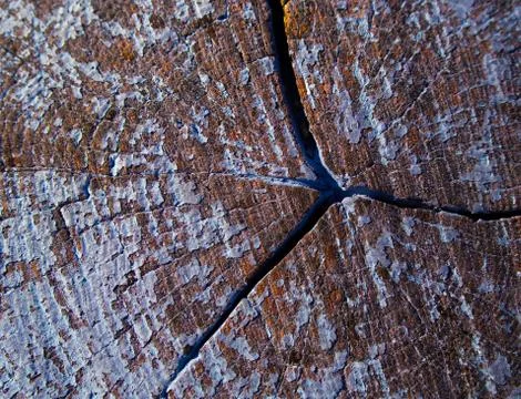 Old painted wood texture in blue and brown colors. House reparation, housewor Stock Photos
