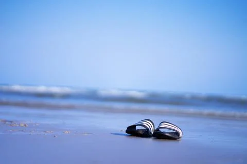 An old pair of flip-flops laying on an empty beach Stock Photos