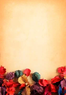 Old paper background with dry flower 库存插图
