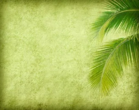 Old paper background with palm leaf Stock Illustration