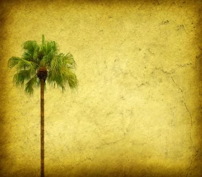 Old paper background with palm leaf Stock Photos