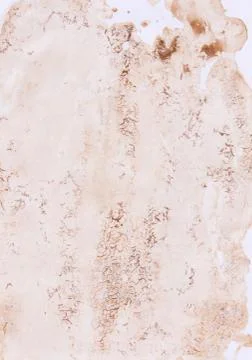 Old  paper background Stock Photos