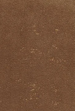 Old paper background  texture Stock Illustration