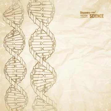 Old paper with dna. Stock Illustration