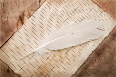 Old paper with a feather Stock Photos