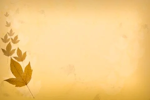 Old paper with maple leaves Stock Photos
