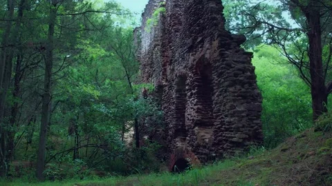 Old paper mill ruin inside a lush forest Stock Footage 285301944