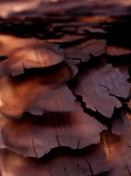 Old paper Stock Photos