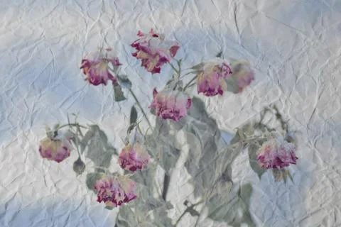 Old paper Stock-Fotos