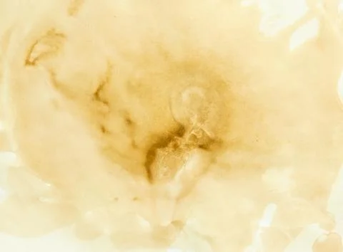 Old paper. Stock Photos