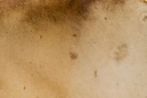 Old paper texture - background Stock Photos