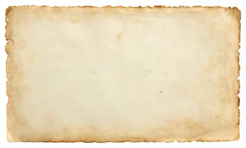 Old paper texture featuring organic and natural aging patterns, creases, st.. Illustrazione stock