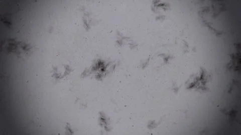 Old paper texture, grunge texture, vintage paper texture, black and white Stock Footage 245476001