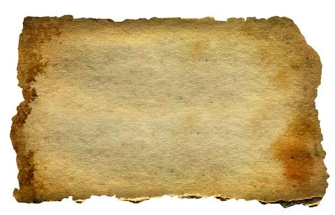 Old Paper Texture isolated 스톡 일러스트