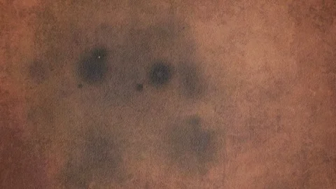 Old parchment burning through Stock Footage 286195207