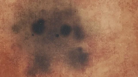 Old parchment burning through Stock Footage 291684183