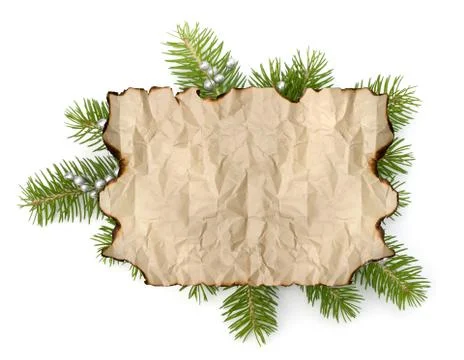 Old parchment paper with copy space on christmas tree branch background 写真素材