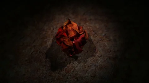 Old parchment unfolding and soaking with blood. Video stock 79068338