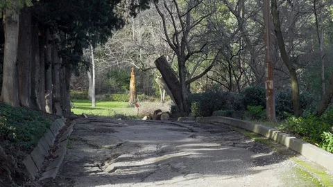 Old park at the beginning of winter Stock Footage 99702261