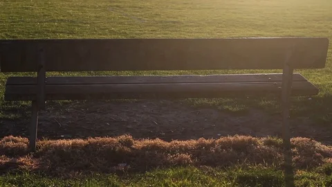 Old park bench, Reading, Berkshire, England Stock Footage