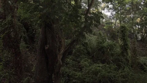 Old park Video stock 76016057